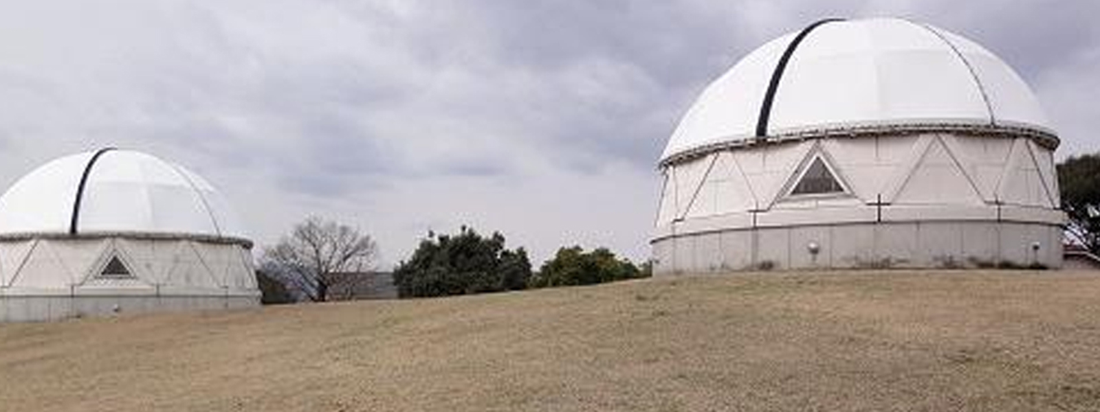 奴国王に認可申請中！？