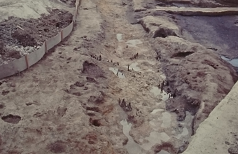 須玖尾花町遺跡
